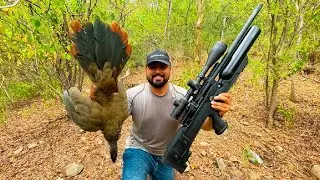 Caceria de CHACHALACAS o PAVAS de MONTE con rifle de aire o PCP en las MONTA&Ntilde;AS