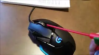 Ceza Holocaust mouse