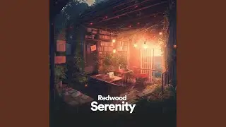 Eucalyptus, Birch, Redwood