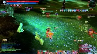 [Tera Online] Soloq on Lancer/Zerk and a bit Alliance PvP