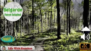 Belgrade forest in istanbul | Belgrad ormanı istanbul|part 2 جنگل بلگراد استانبول