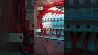 MCB Distribution Box Dressing 😍#electrician #dressing #distribution #mcbox #mcbbox dressing