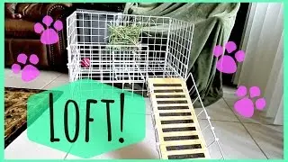 Guinea Pig Cage Loft | Overview