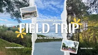 Trần Trương Như Ý - 3124380325 - Thực tế Chuyên môn