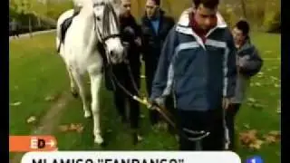 Equinoterapia - Centro de Educación Especial.mp4
