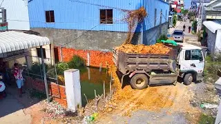 incredible landfill project build house , bulldozer push soil , dump truck transport soil to land
