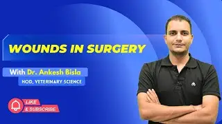 Wounds In Surgery | By Dr. Ankesh Bisla | Wise IAS