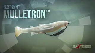 Introducing the Mulletron Loose Body