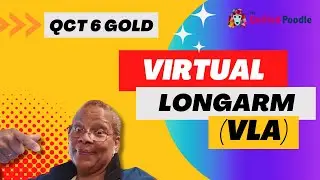 2024 QCT 6 Virtual Longarm (VLA) | The Quilted Poodle