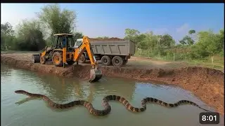 Jcb 3DX Machine Backhoe Loading TATA Tipper Loading Jc...