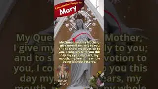 Entrust your future to Mary through this prayer of consecration