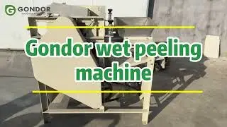 Gondor Almond Skin Removal Wet Peeling Machine &ndash; Efficient, High-Quality Almond Peeling 🌰💧