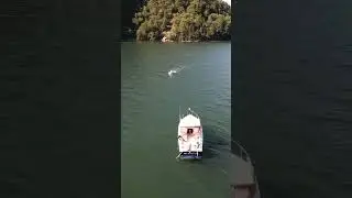 Amazing boat footage! #drone