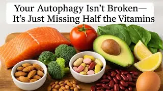 Your Autophagy Isn&rsquo;t Broken&mdash;It&rsquo;s Just Missing Half the Vitamins