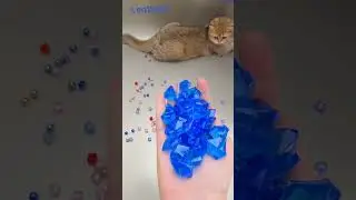 Cute Cat Beads ASMR Reverse Vibes 💛🌈 #asmr #satisfying #cozy