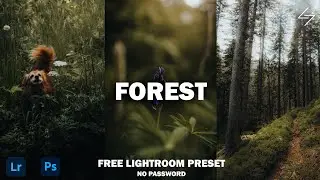Free Forest Lightroom Mobile Preset Tutorial | DNG & XMP Free Download | Presetum