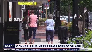 Major cannabis producer choses DeLand for Florida headquarters