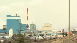 Хайду встретится с представителями целлюлозно-бумажной промышленности Тандер-Бей.
