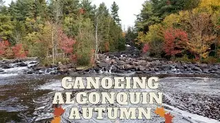 Algonquin Canoeing on Oxtongue Lake