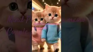 Beautiful Cat couple photos✨#catvideos