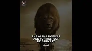 The Alpha Earns His Respect 🦁 | Alpha 5 Tattoos #dailymotivation #shorts