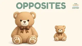 Learn Opposites | Big & Small, Open & Closed | Calm Learning for Toddlers