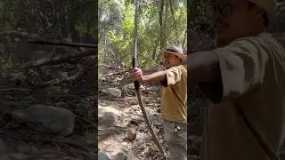 Survival Skills：A handy homemade bow for emergencies #outdoors #survival #bushcraft #camping