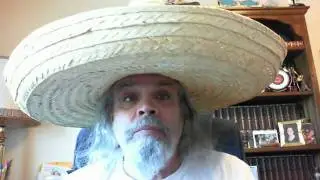 Natural Born Citizen