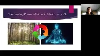 Naturopathic Medicine || Vitalism & Vis Medicatrix Naturae & The Vital Force