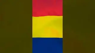 Chad flag waving over screen (loop): You are free to use this video (No copyright video).