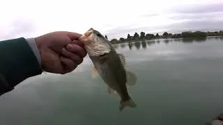 Fishing With Aksel---- Today we fish Magic Jonson park for Bass