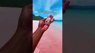 pink sand beach😍 👉