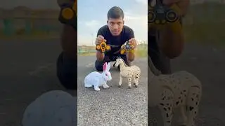 Rabbit and horse Unboxing #shorts