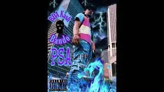 BDA Kash-PSA (official auto)