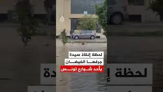 لحظة إنقاذ المارة لسيدة جرفتها مياه الفيضان في تونس
