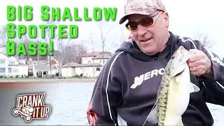 How To Catch Spotted Bass on Crankbaits in Early Spring &ndash; Crank It Up