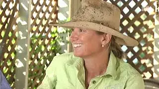 35  Helicopter mustering feral buffalo in outback Australia 🐃🚁🤠   Wild Rides Ep 1   ABC Australia