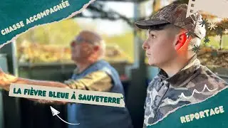 Chasse accompagn&eacute;e en palombi&egrave;re ‑La Fi&egrave;vre Bleue dans le B&eacute;arn