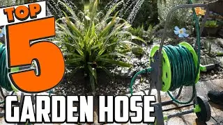 Best Garden Hose In 2025- Top 5 Garden Hoses Review