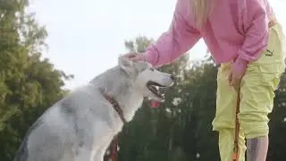Cornmi Ultrasonic Dog Training-Bark Device