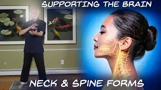 Brain Workshop: Activating the spine and neck