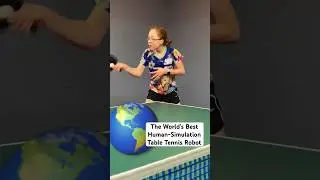 The Simulator