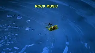 Rock Music, Relaxation Music, Stress-free Music, Workout Music, Yoga Music.