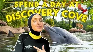 DISCOVERY COVE (an all-inclusive day resort)- Travel vlog + review