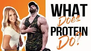 Bradley Martyn Explains Why Protein Is Important