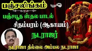 நடராஜா தில்லை அம்பாலா - ஆகாயம் | Nataraja Thillai Ambala | Panchalingam | S P Balasubramaniyam