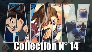 Collection Amv n° 14