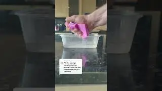 Did we understand the assignment? 👀 #sph2onge #absorb #cleaning #sponge #cleaningtiktok #clean