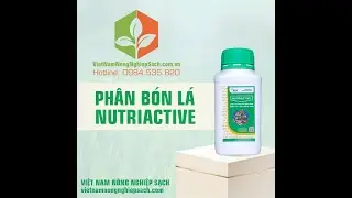 NUTRIACTIVE - DINH DƯỠNG CAO CẤP CÂY TRỒNG - 0919817033 - vietnamnongnghiepsach.vn #xanhla