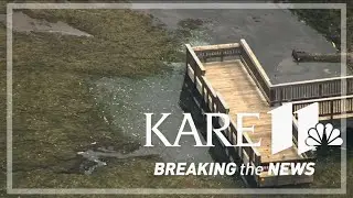 Fish rescued from Lake Alice